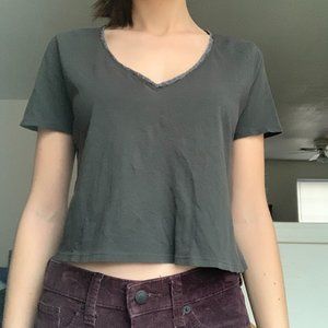 Brandy Melville Crop Top